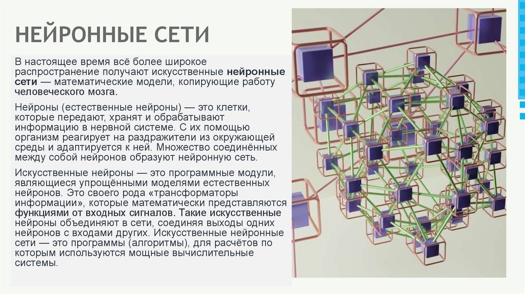 НЕЙРОННЫЕ СЕТИ