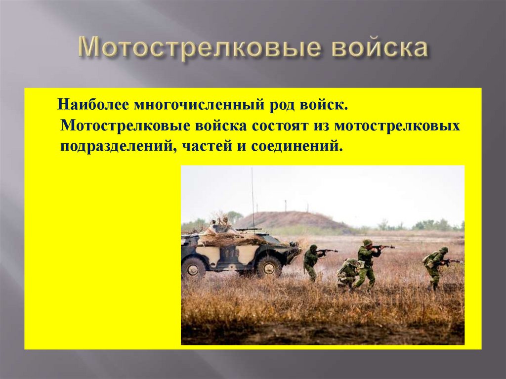 Мотострелковые войска