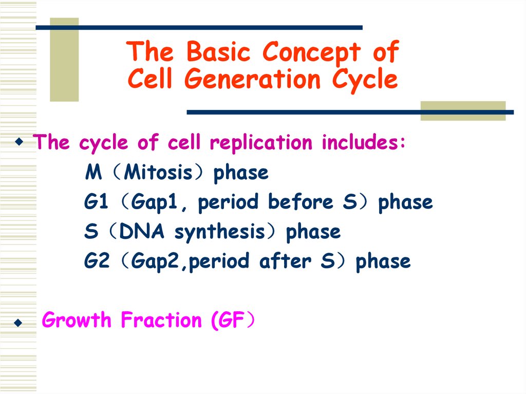 The Basic Concept of Cell Generation Cycle
