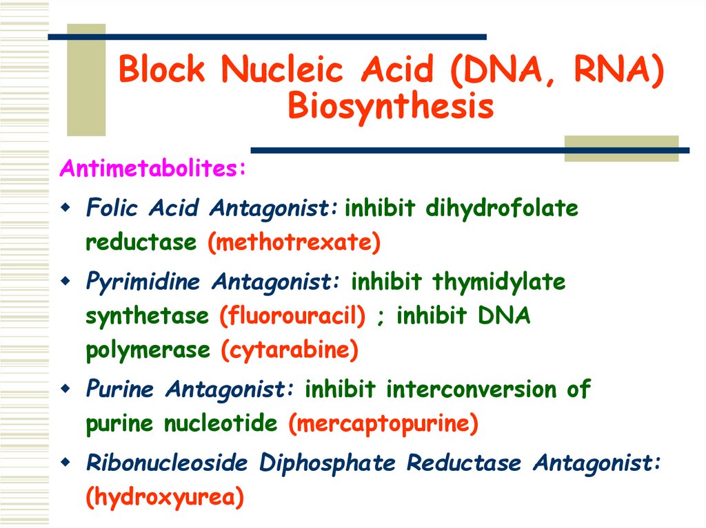 Block Nucleic Acid (DNA, RNA) Biosynthesis