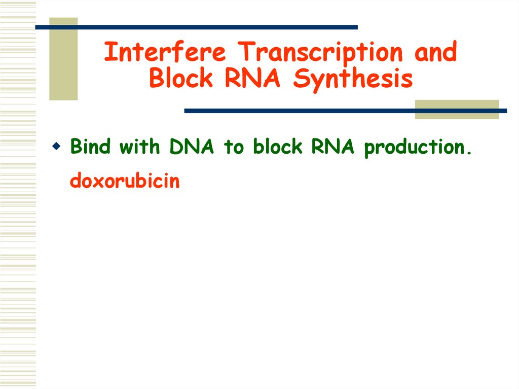 Interfere Transcription and Block RNA Synthesis