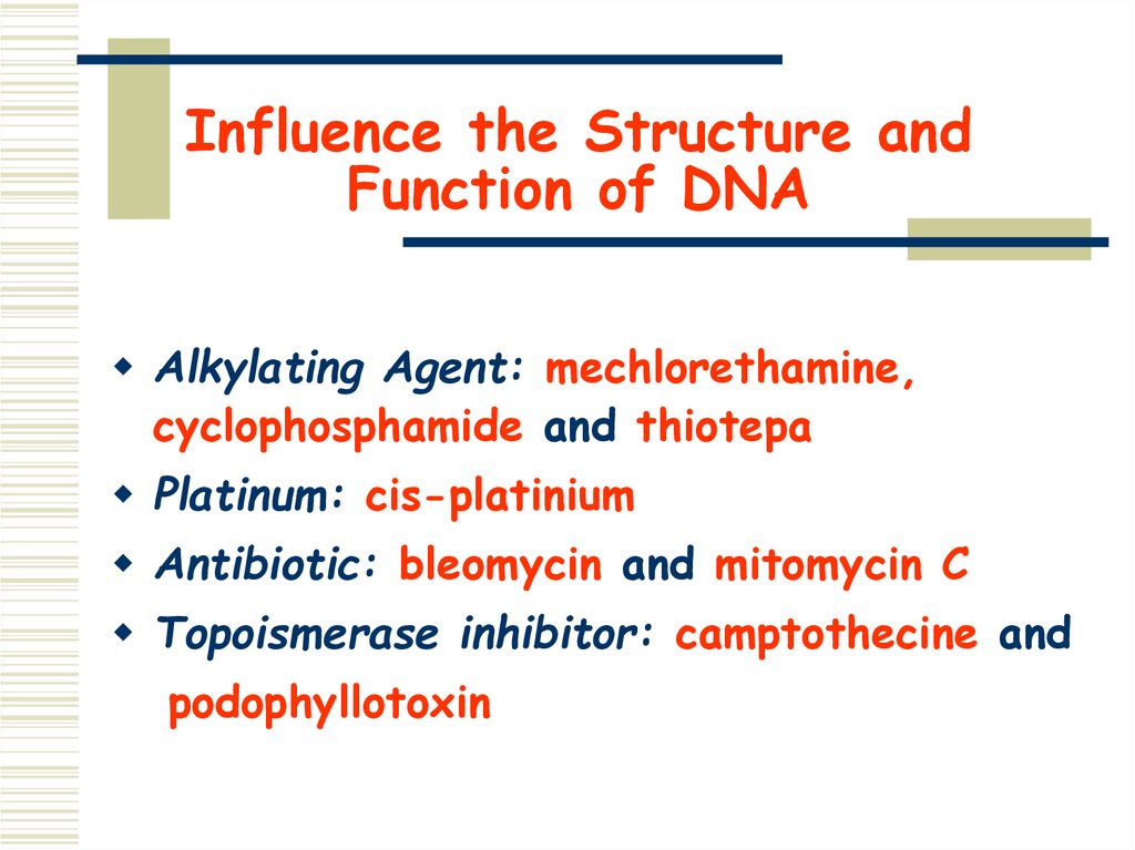 Influence the Structure and Function of DNA