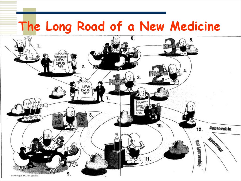 The Long Road of a New Medicine