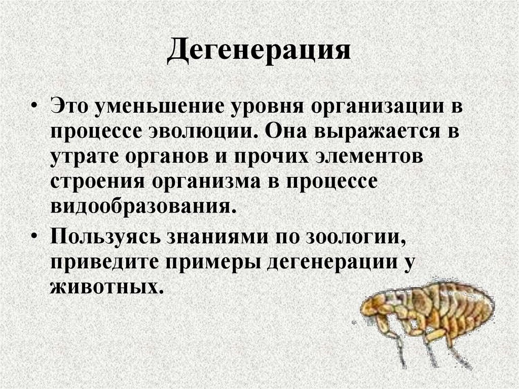 Дегенерация