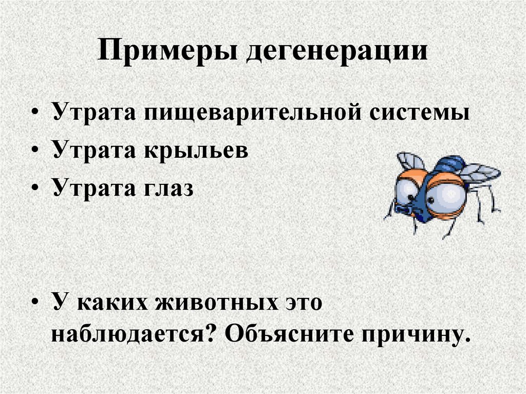 Примеры дегенерации