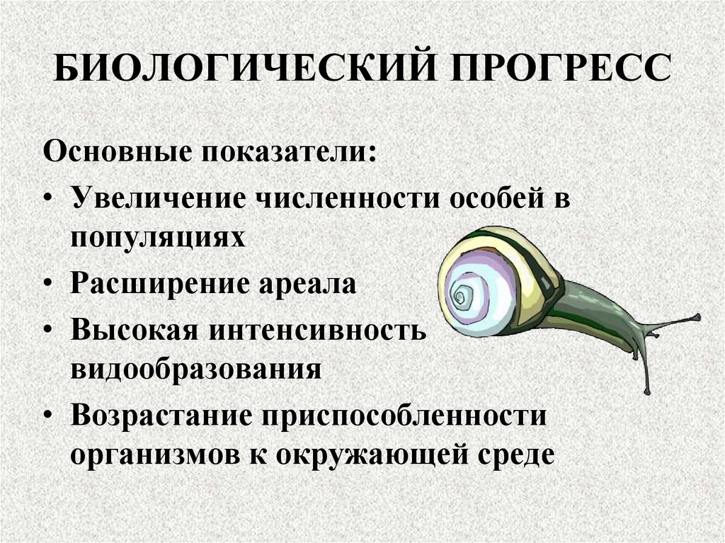 БИОЛОГИЧЕСКИЙ ПРОГРЕСС