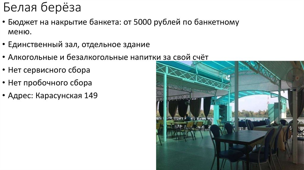 Белая берёза