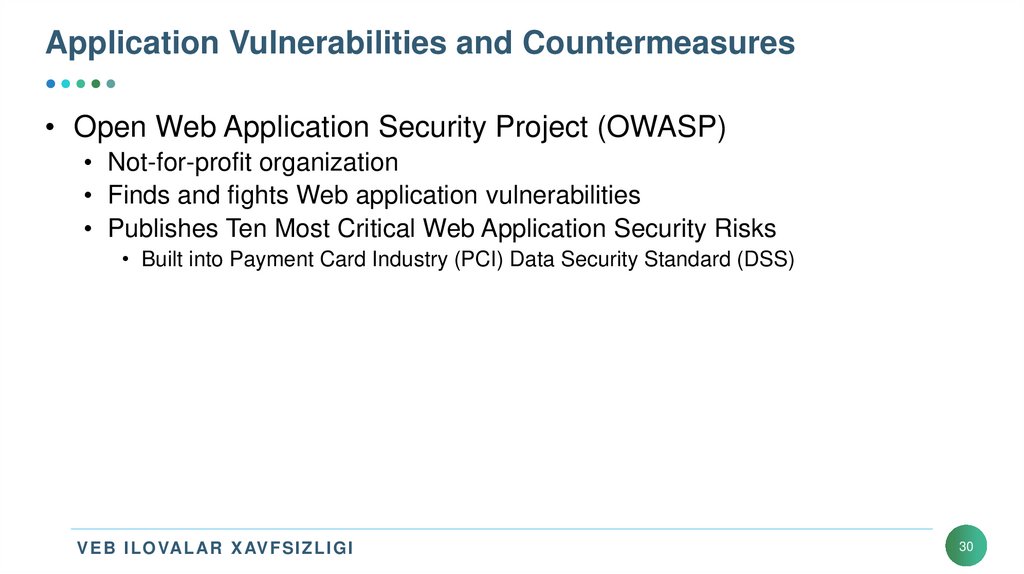 Application Vulnerabilities and Countermeasures