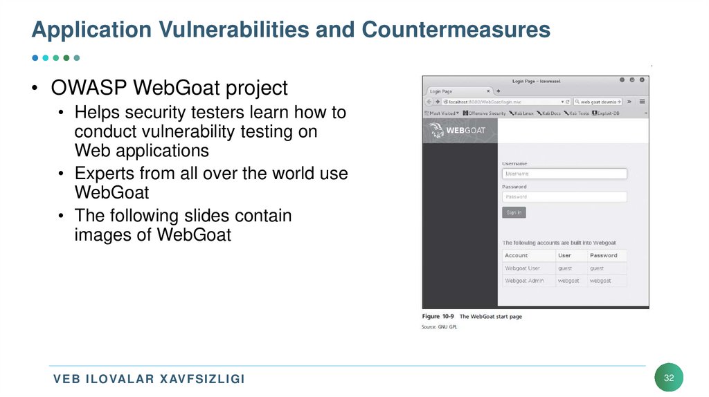 Application Vulnerabilities and Countermeasures