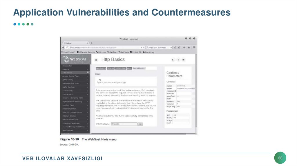 Application Vulnerabilities and Countermeasures