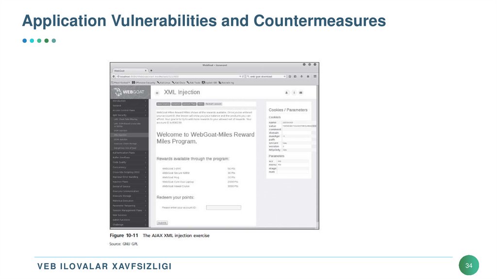 Application Vulnerabilities and Countermeasures