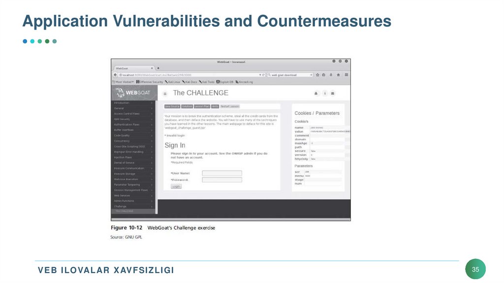 Application Vulnerabilities and Countermeasures