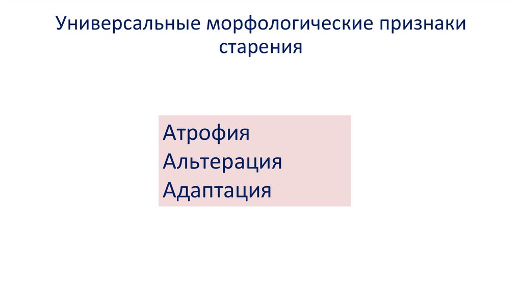 Универсальные морфологические признаки старения