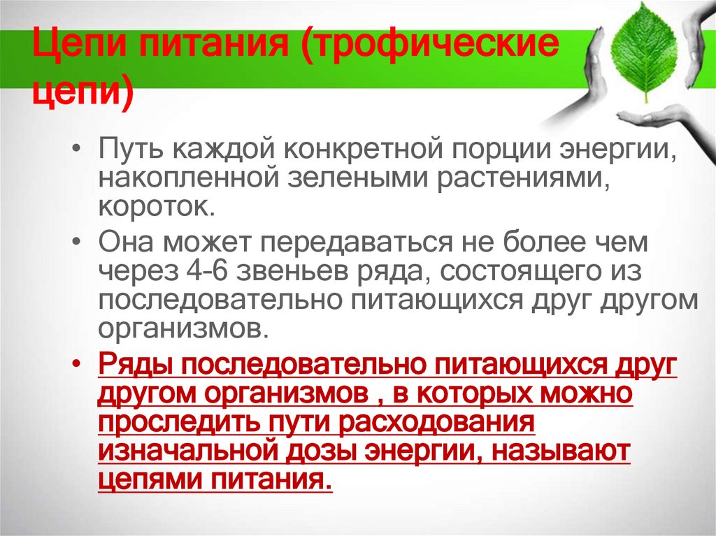 Цепи питания (трофические цепи)