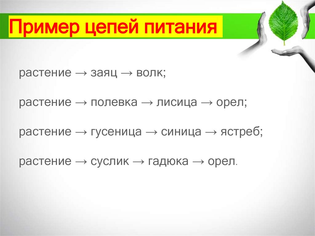 Пример цепей питания