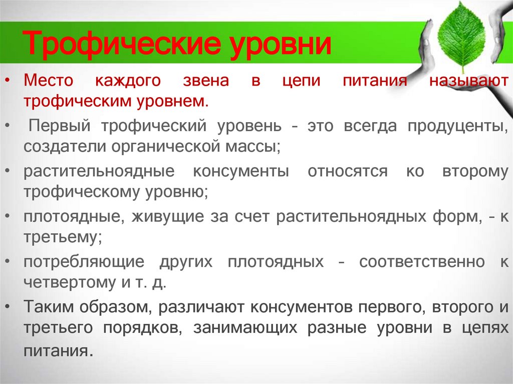 Трофические уровни