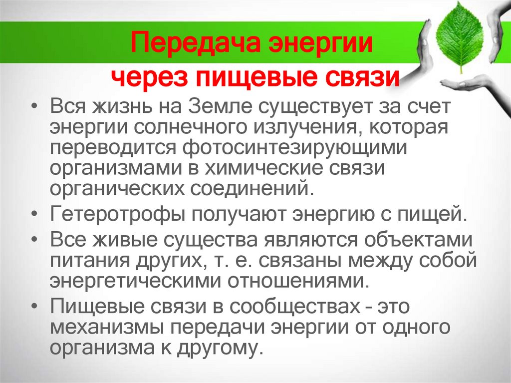 Передача энергии через пищевые связи
