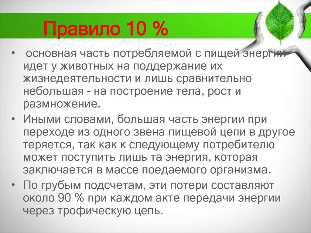 Правило 10 %