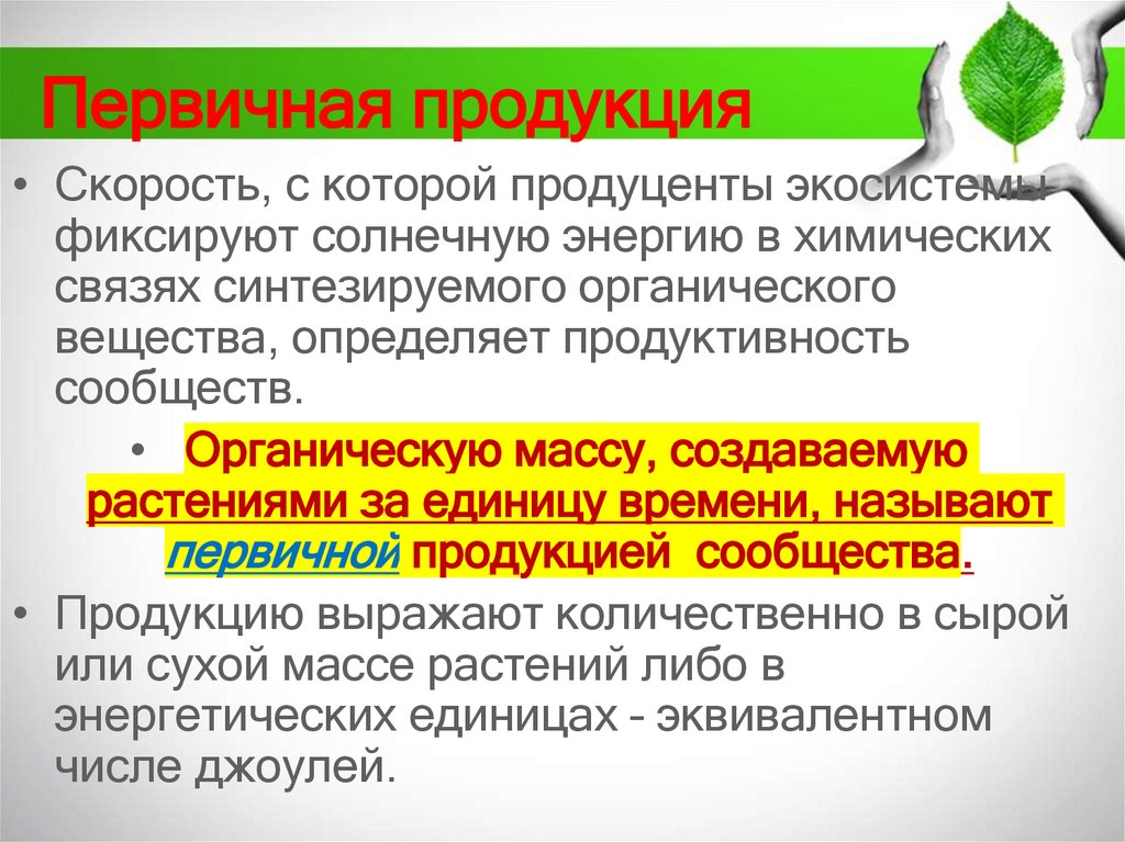Первичная продукция
