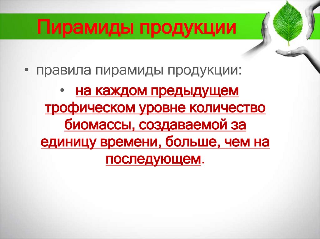 Пирамиды продукции