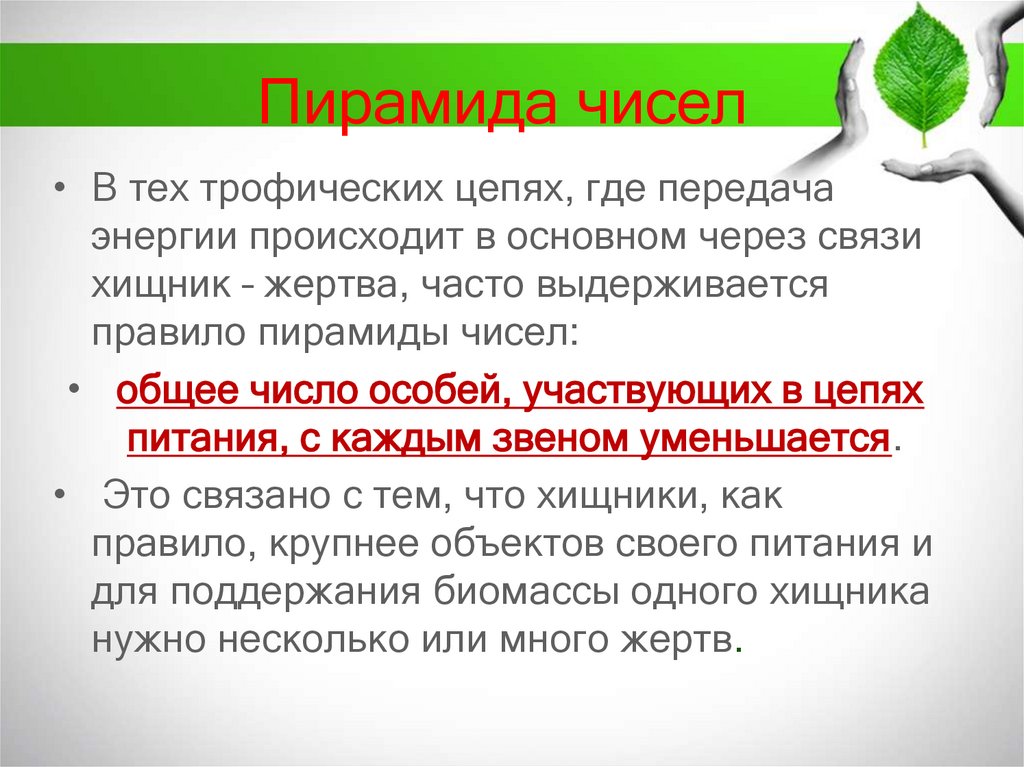 Пирамида чисел