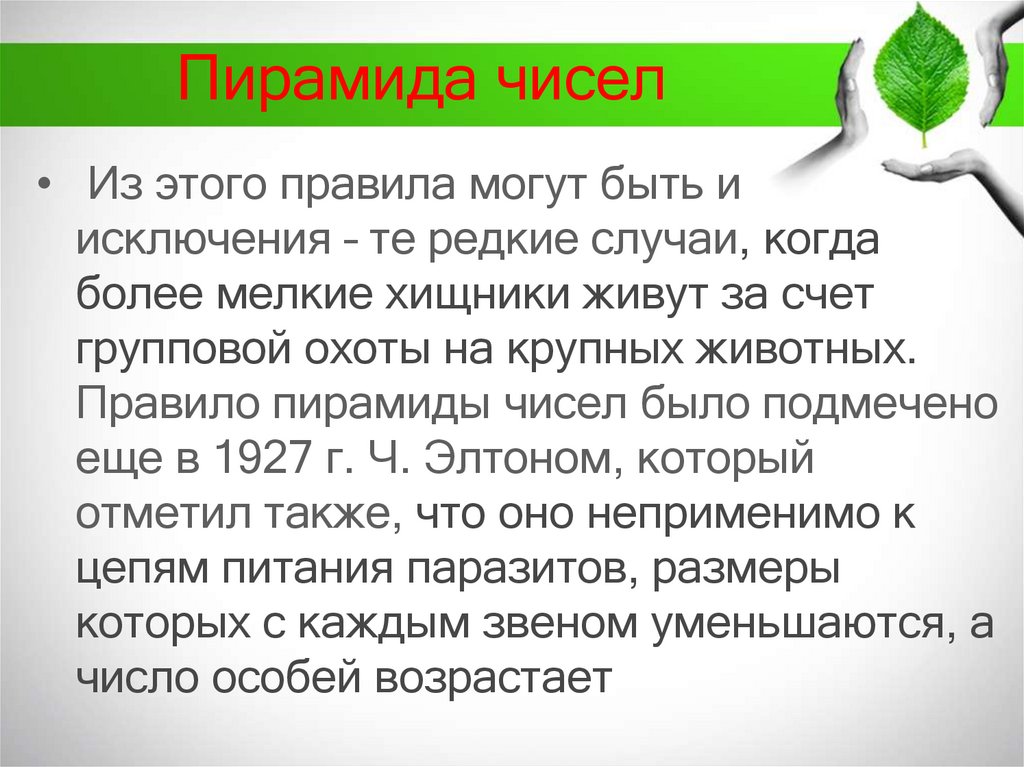 Пирамида чисел