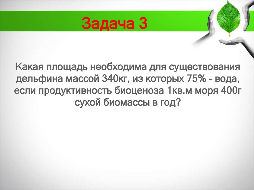 Задача 3