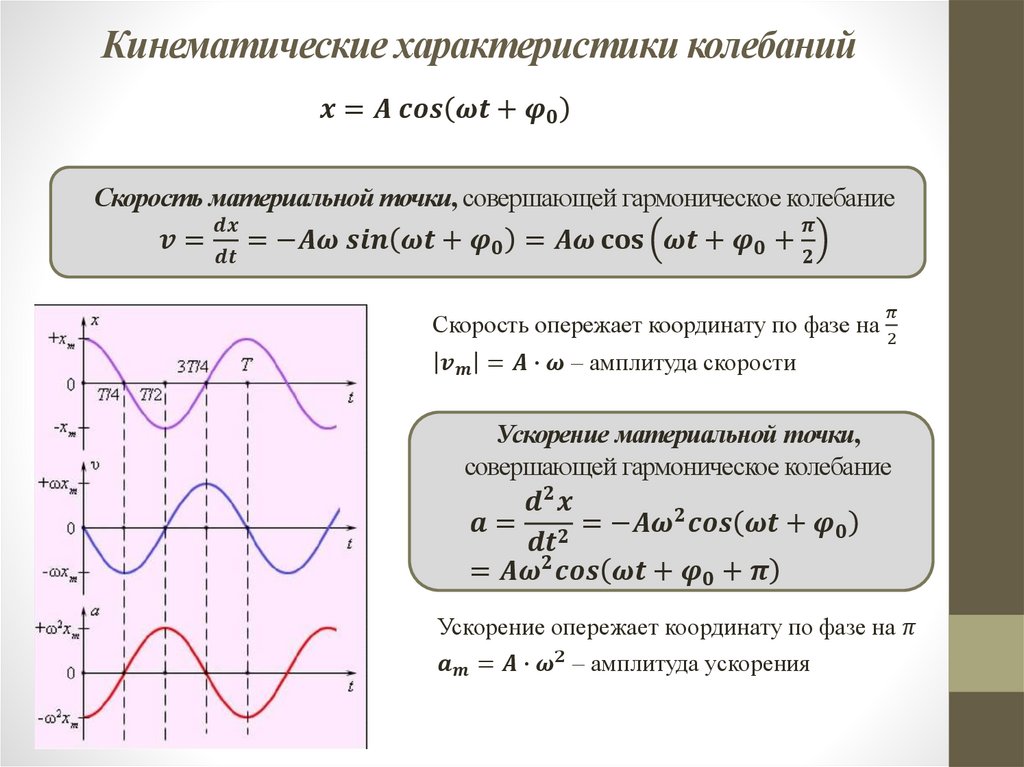Кинематические характеристики колебаний