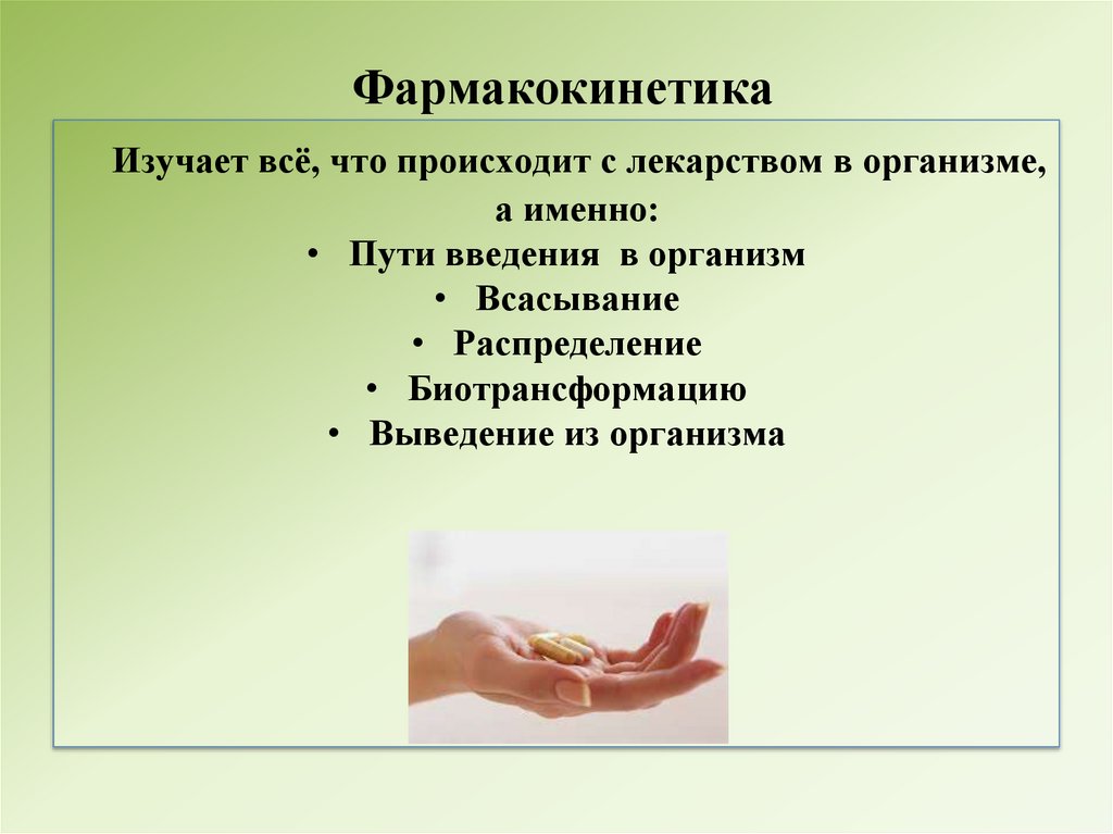 Фармакокинетика