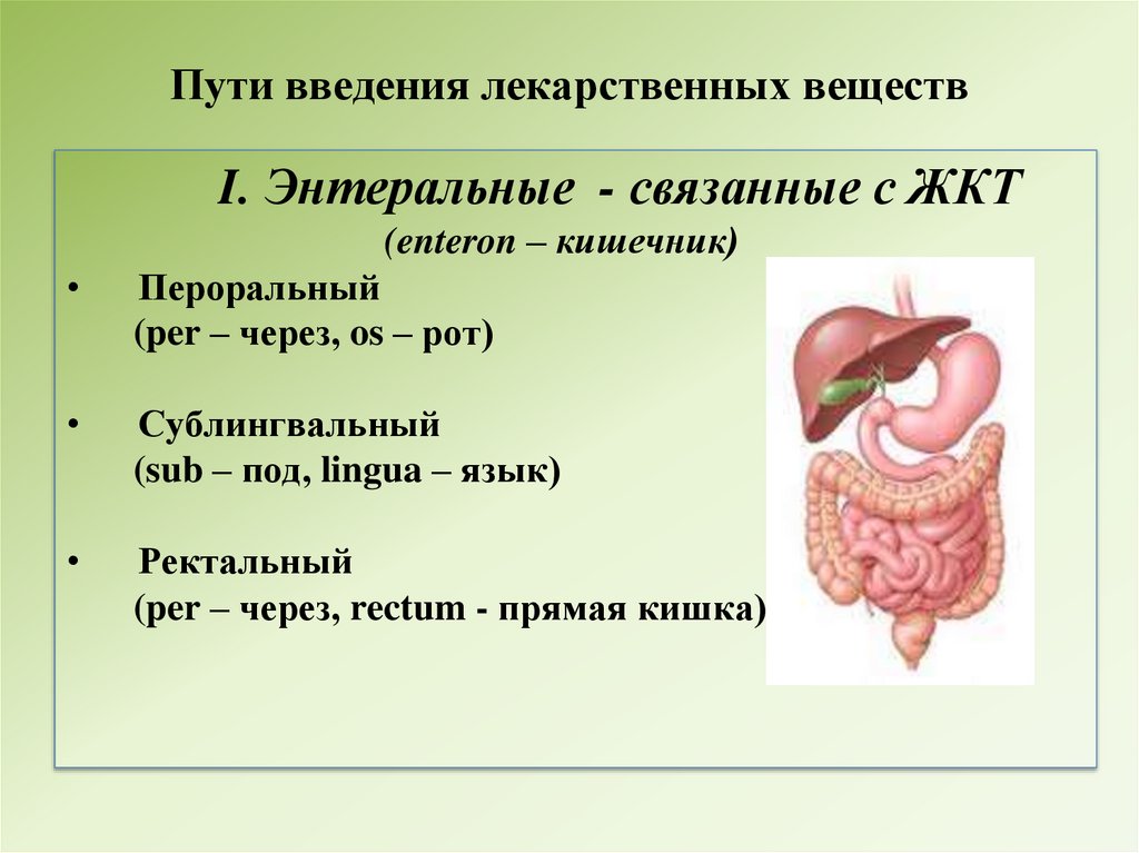 Пути введения лекарственных веществ