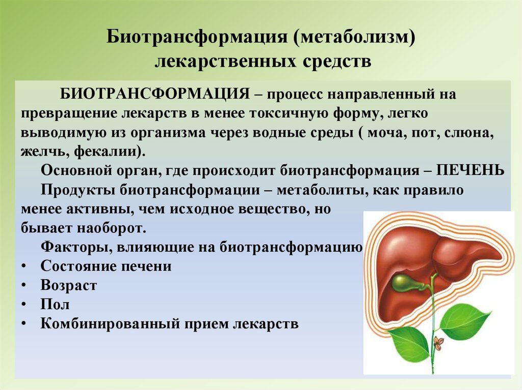 Биотрансформация (метаболизм) лекарственных средств