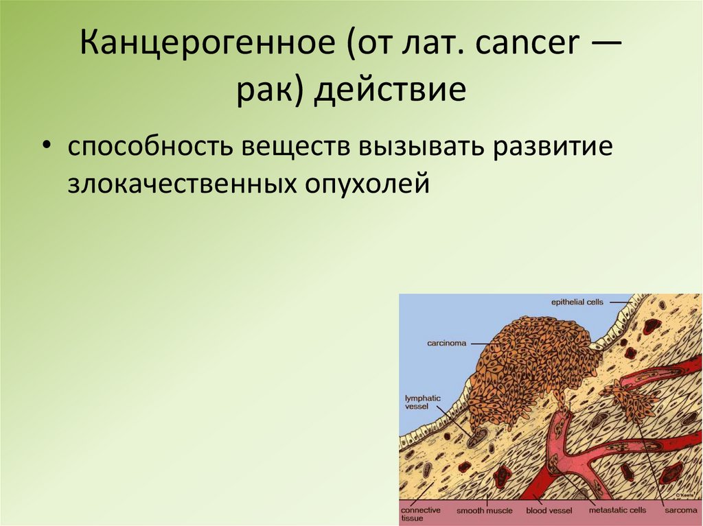 Канцерогенное (от лат. cancer — рак) действие