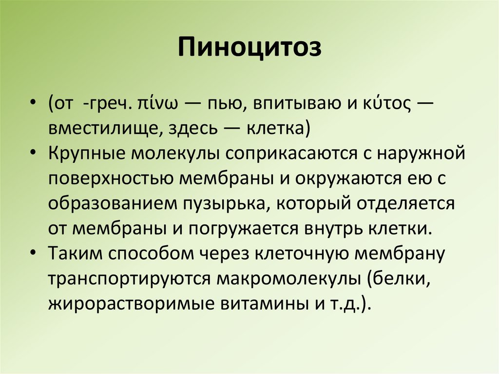 Пиноцитоз