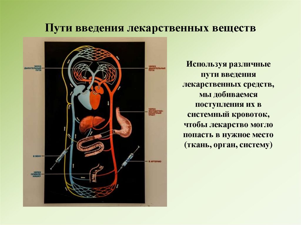 Пути введения лекарственных веществ