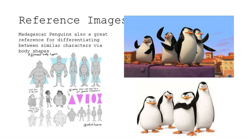 Reference Images