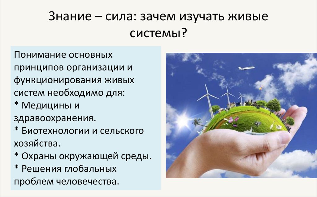 Знание – сила: зачем изучать живые системы?