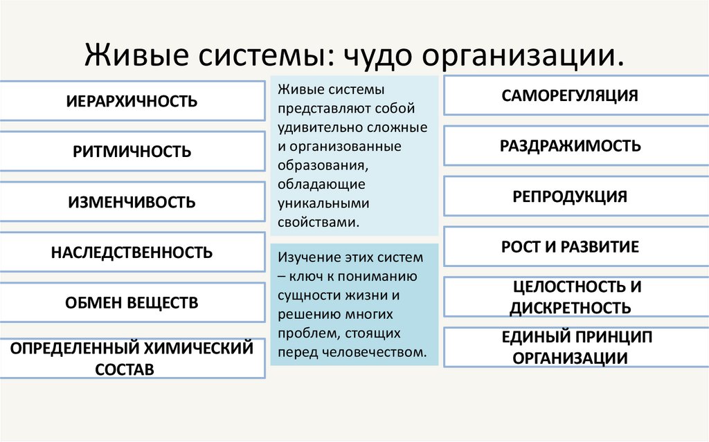 Живые системы: чудо организации.