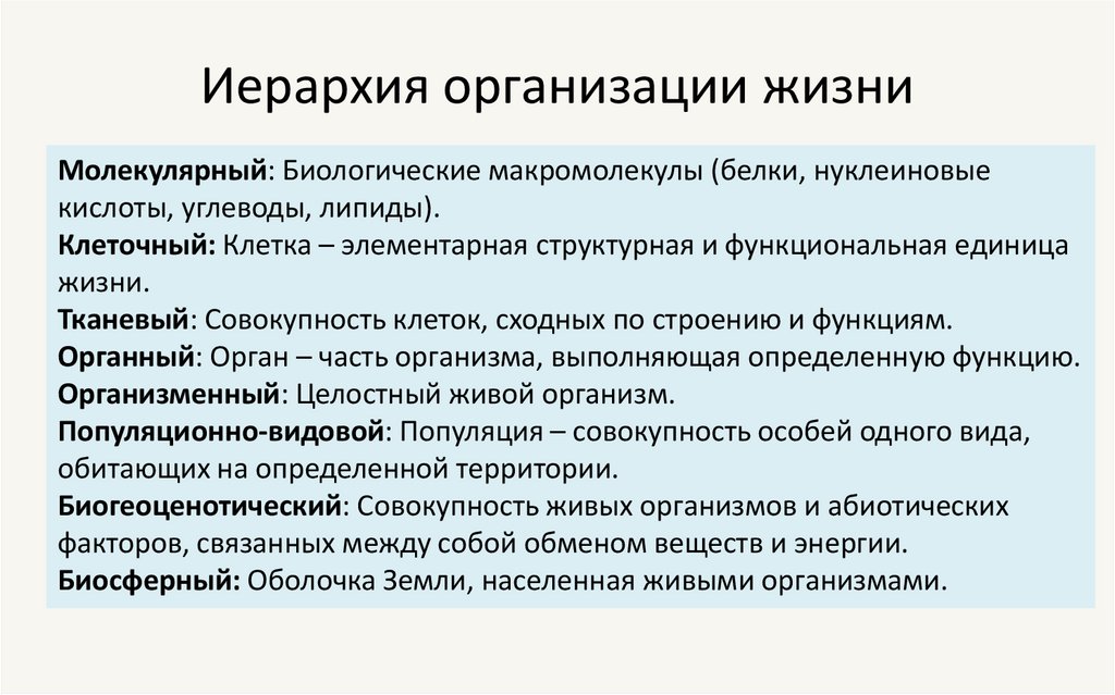 Иерархия организации жизни