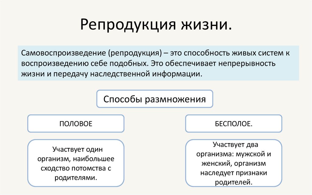 Репродукция жизни.