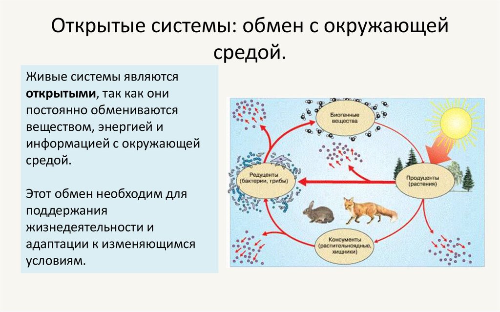 Открытые системы: обмен с окружающей средой.