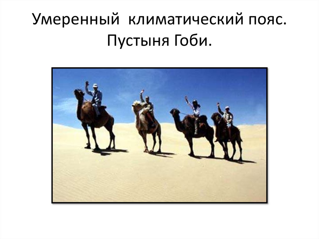 Умеренный климатический пояс. Пустыня Гоби.