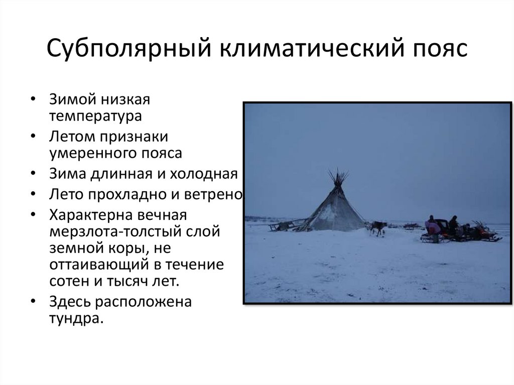 Субполярный климатический пояс