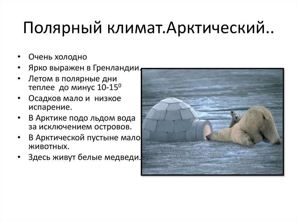 Полярный климат.Арктический..