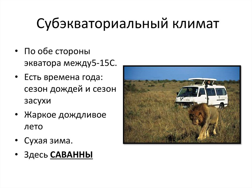 Субэкваториальный климат