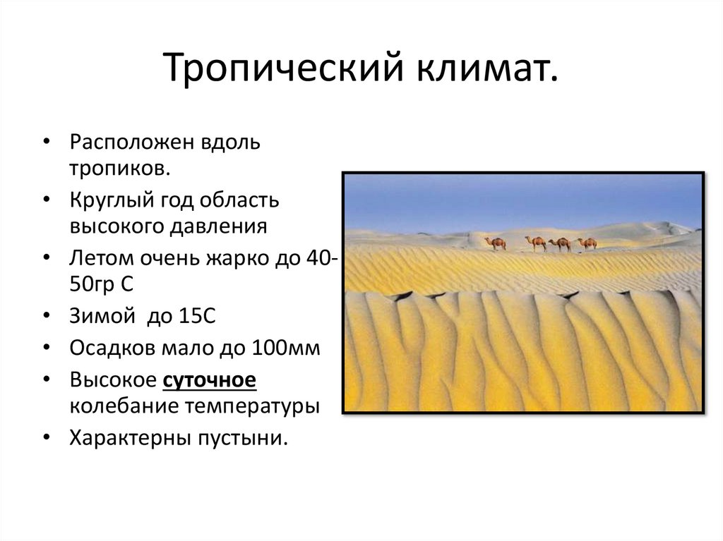 Тропический климат.