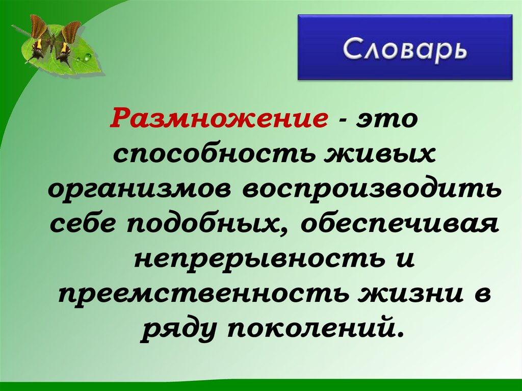 Словарь