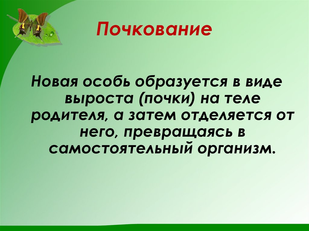 Почкование