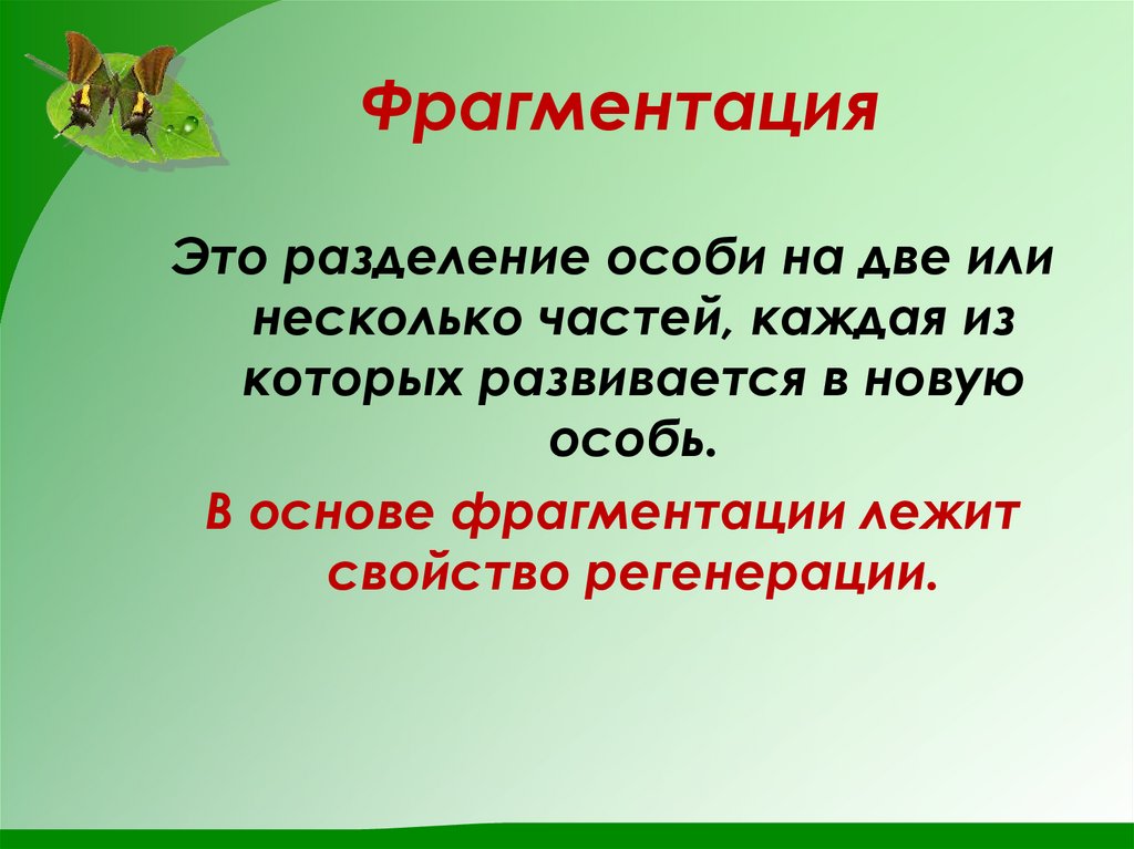 Фрагментация