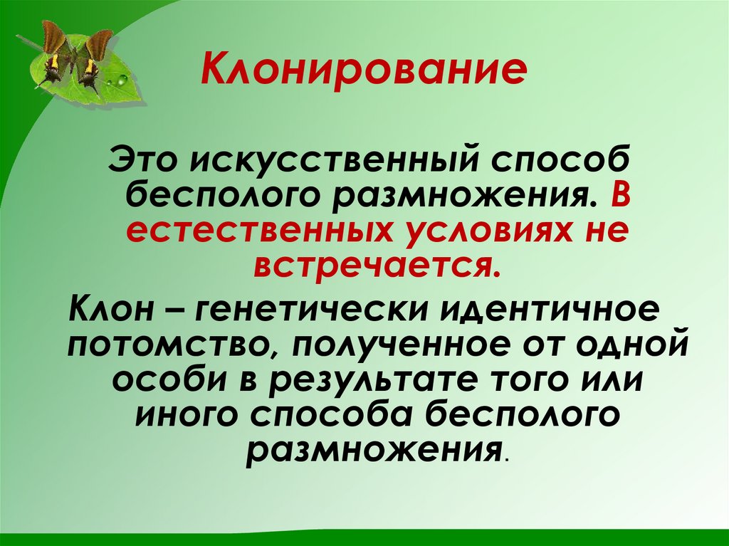 Клонирование