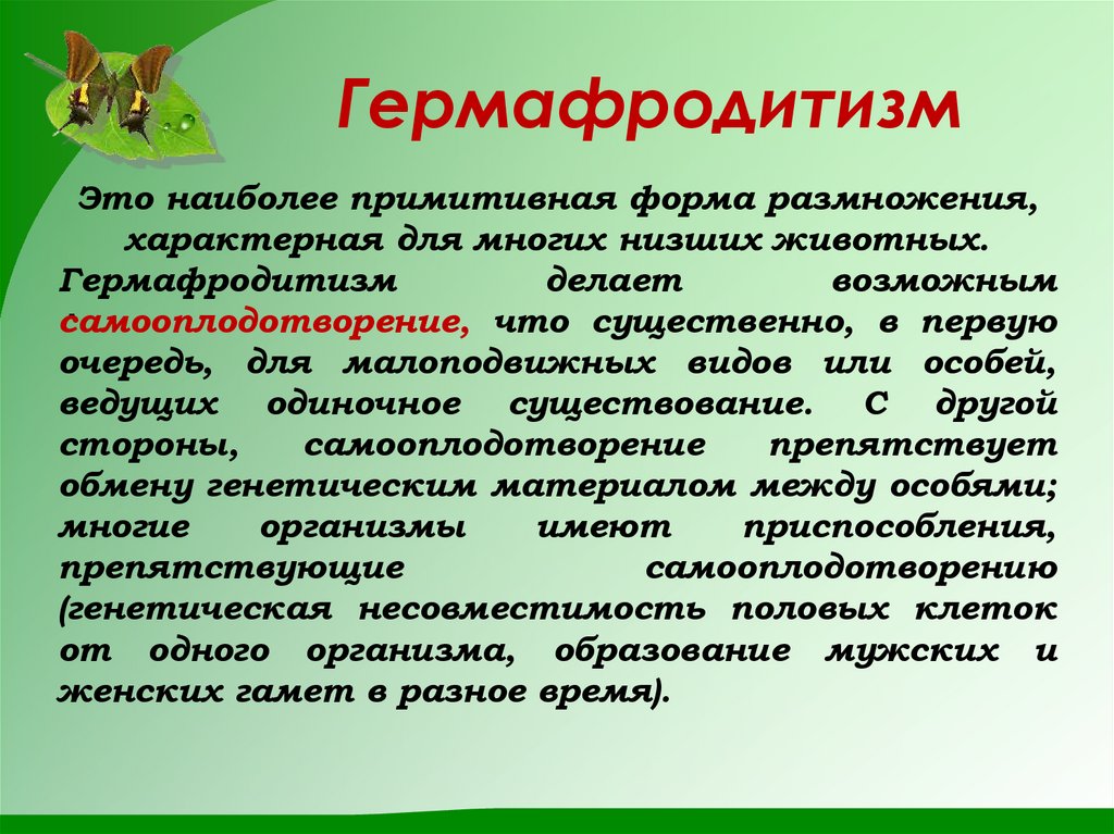 Гермафродитизм